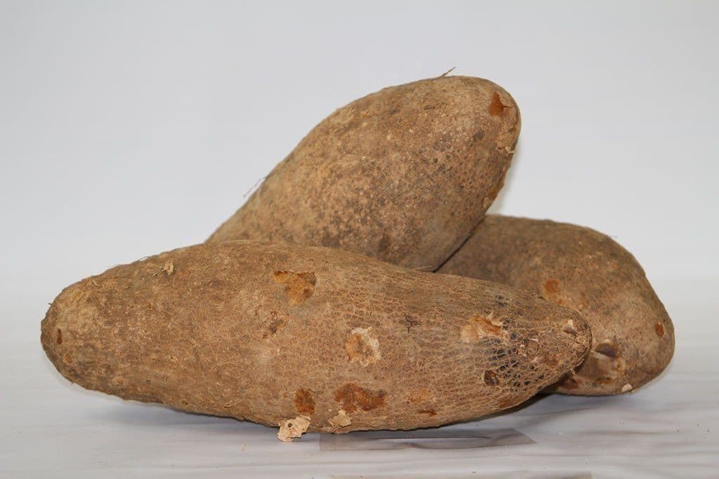 Tubers
